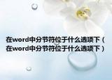 在word中分节符位于什么选项下（在word中分节符位于什么选项下）