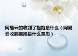 网易云的收到了抱抱是什么（网易云收到抱抱是什么意思）