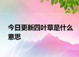今日更新四叶草是什么意思