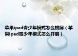 苹果ipad青少年模式怎么横屏（苹果ipad青少年模式怎么开启）