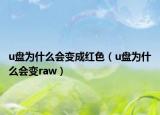 u盘为什么会变成红色（u盘为什么会变raw）