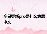 今日更新pro是什么意思中文