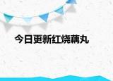 今日更新红烧藕丸