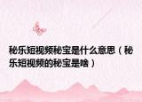 秘乐短视频秘宝是什么意思（秘乐短视频的秘宝是啥）