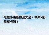 培根小南瓜做法大全（苹果x能改双卡吗）