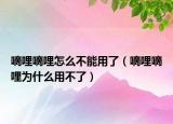 嘀哩嘀哩怎么不能用了（嘀哩嘀哩为什么用不了）