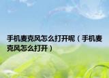 手机麦克风怎么打开呢（手机麦克风怎么打开）