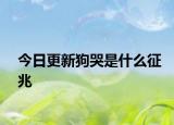今日更新狗哭是什么征兆