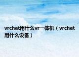vrchat用什么vr一体机（vrchat用什么设备）