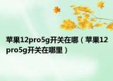 苹果12pro5g开关在哪（苹果12pro5g开关在哪里）