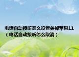 电话自动接听怎么设置关掉苹果11（电话自动接听怎么取消）