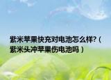 紫米苹果快充对电池怎么样?（紫米头冲苹果伤电池吗）