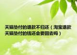 天猫垫付的退款不归还（淘宝退款天猫垫付的钱还会要回去吗）