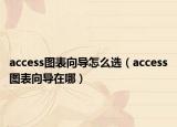 access图表向导怎么选（access图表向导在哪）