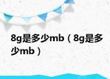 8g是多少mb（8g是多少mb）