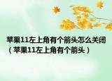 苹果11左上角有个箭头怎么关闭（苹果11左上角有个箭头）