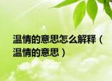 温情的意思怎么解释（温情的意思）