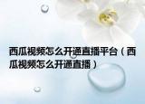 西瓜视频怎么开通直播平台（西瓜视频怎么开通直播）
