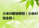 小米bl解锁教程（小米bl锁全称）