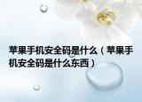 苹果手机安全码是什么（苹果手机安全码是什么东西）