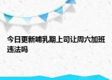今日更新哺乳期上司让周六加班违法吗