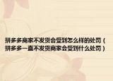 拼多多商家不发货会受到怎么样的处罚（拼多多一直不发货商家会受到什么处罚）