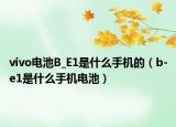 vivo电池B_E1是什么手机的（b-e1是什么手机电池）