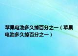 苹果电池多久掉百分之一（苹果电池多久掉百分之一）