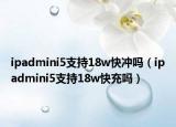 ipadmini5支持18w快冲吗（ipadmini5支持18w快充吗）
