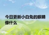 今日更新小白兔的眼睛像什么