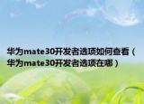 华为mate30开发者选项如何查看（华为mate30开发者选项在哪）
