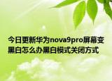 今日更新华为nova9pro屏幕变黑白怎么办黑白模式关闭方式