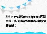 华为nova8和nova8pro的区别图片（华为nova8和nova8pro的区别）