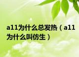 a11为什么总发热（a11为什么叫仿生）
