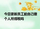 今日更新员工能自己缴个人所得税吗