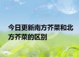 今日更新南方芥菜和北方芥菜的区别