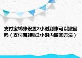 支付宝转账设置2小时到账可以撤回吗（支付宝转账2小时内撤回方法）