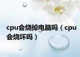 cpu会烧掉电脑吗（cpu会烧坏吗）