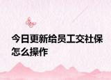 今日更新给员工交社保怎么操作