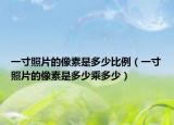 一寸照片的像素是多少比例（一寸照片的像素是多少乘多少）