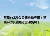 苹果se2怎么关闭自动亮屏（苹果se2怎么关闭自动亮屏）