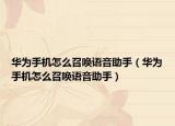 华为手机怎么召唤语音助手（华为手机怎么召唤语音助手）