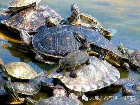 简单快捷有效化解太岁小妙招