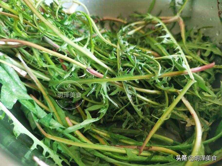 蒲公英即是中药又是野菜，生吃做馅都可以，包饺子吃太香了