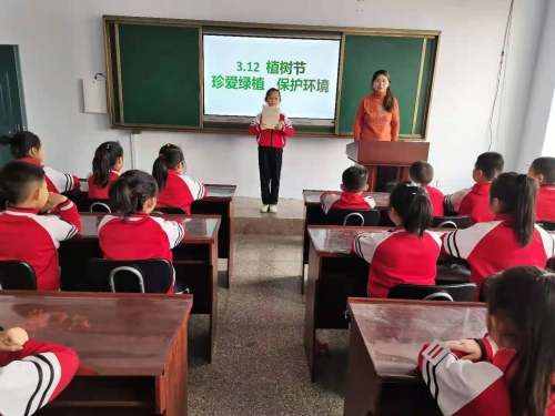 清河区第一小学“12 植树节”活动总结