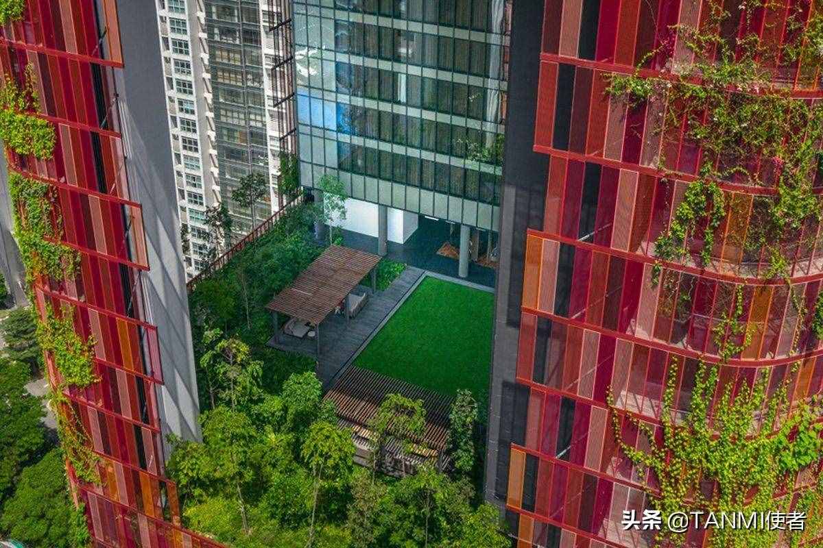 成都网红小区“空中森林”，房屋被植物覆盖，夏天不招蚊子吗？