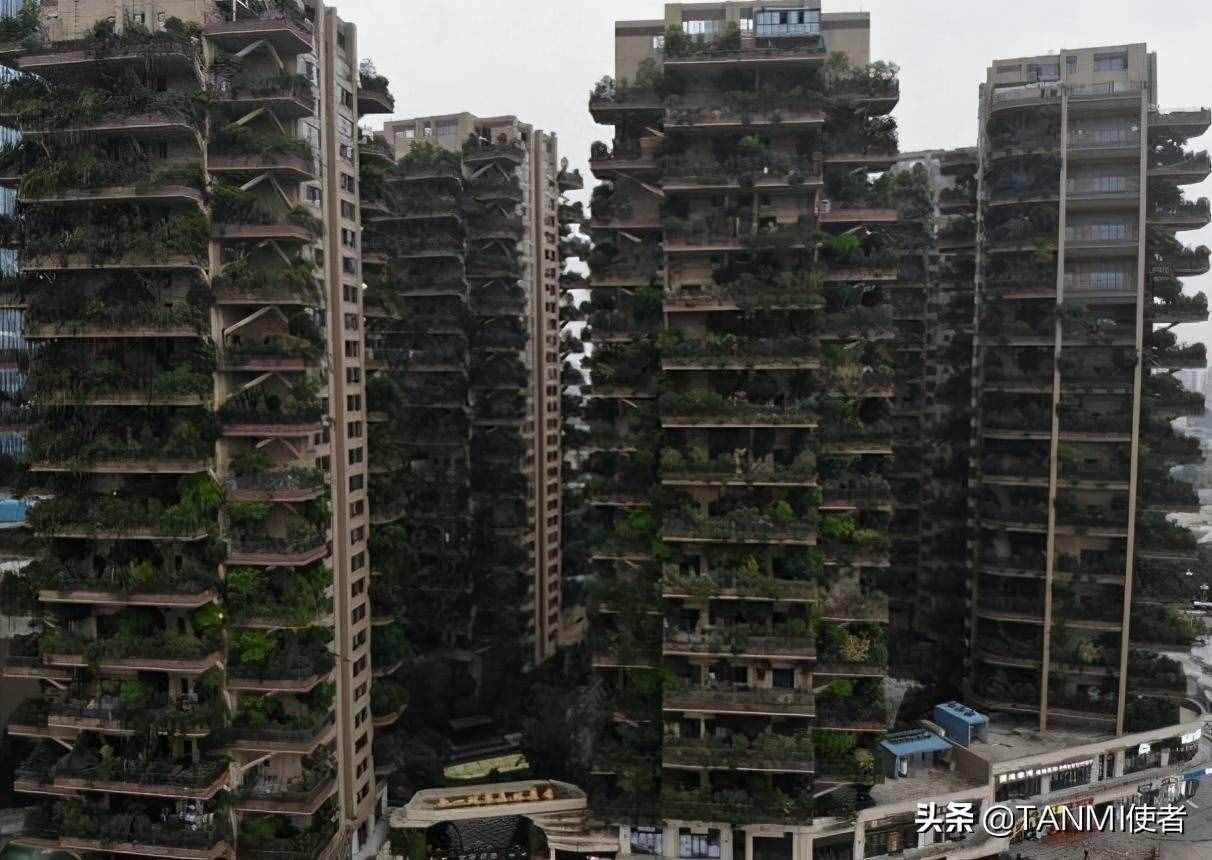 成都网红小区“空中森林”，房屋被植物覆盖，夏天不招蚊子吗？