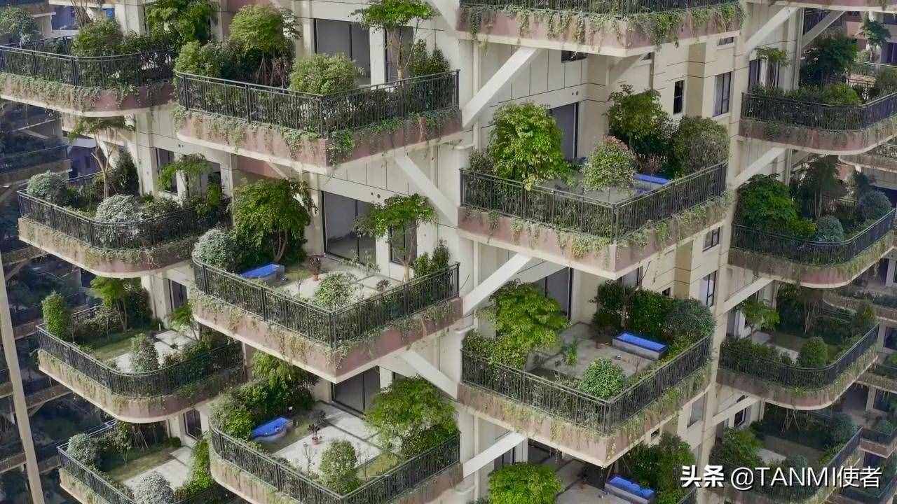 成都网红小区“空中森林”，房屋被植物覆盖，夏天不招蚊子吗？