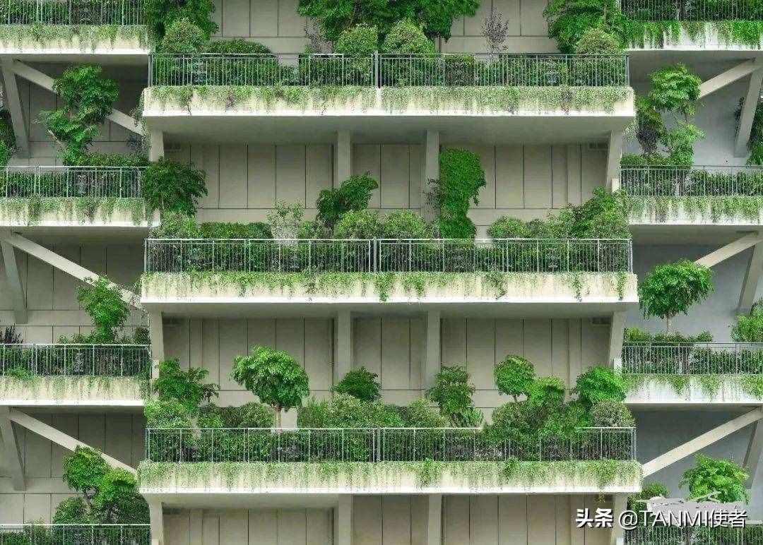 成都网红小区“空中森林”，房屋被植物覆盖，夏天不招蚊子吗？