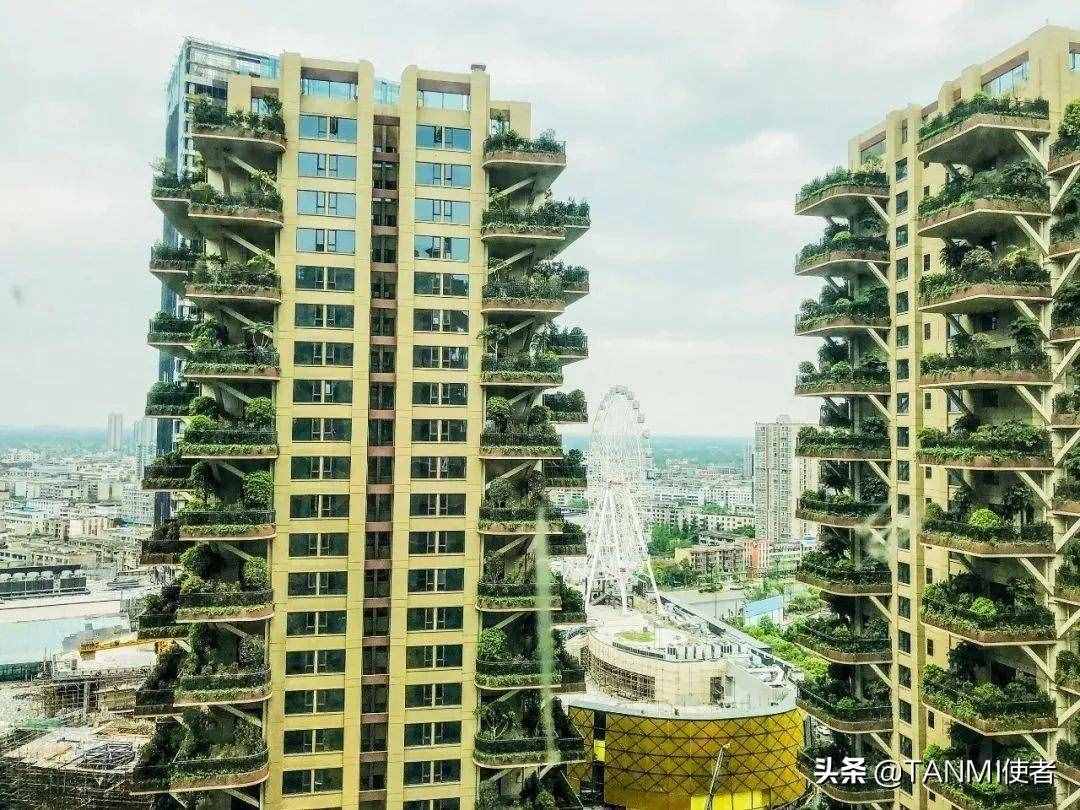 成都网红小区“空中森林”，房屋被植物覆盖，夏天不招蚊子吗？